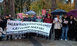 Denizli'den Tunceli ve Ovacık Kayyumlarına Tepki