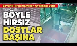 Böyle Hırsız Dostlar Başına