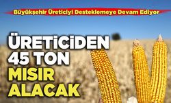 Büyükşehir Üreticiden 45 Ton Mısır Alacak