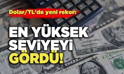 Dolar/TL'de yeni rekor: En Yüksek Seviyeyi Gördü!