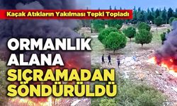 Ormanlık Alana Sıçramadan Söndürüldü