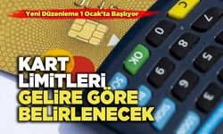 Kart Limitleri Gelire Göre Belirlenecek