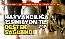 Hayvancılığa 155 Milyon Destek Sağlandı