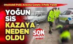 Yoğun Sis Kazaya Neden Oldu