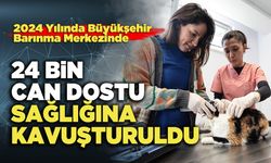 24 Bin  Can Dostu Sağlığına Kavuşturdu