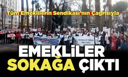 Tüm Emekliler Sendikası’nın Çağrısıyla Emekliler Sokağa Çıktı