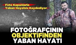 Fotoğrafçının Objektifinden Yaban Hayatı