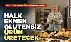 Halk Ekmek Glutensiz Ürün Üretecek