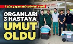 Organları 3 Hastaya Umut Oldu