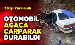 Otomobil Ağaca Çarparak Durabildi