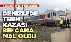 Tren Kazası Bir Cana Mal Oldu