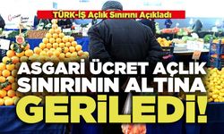 Asgari Ücret Açlık Sınırının Altına Geriledi!