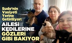 Sude’nin Vasiyeti Yerine Getiriliyor: Ailesi Kedilerine Gözleri Gibi Bakıyor