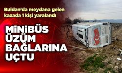 Minibüs üzüm bağlarına uçtu