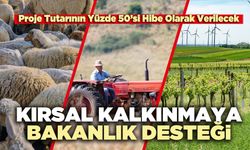 Kırsal Kalkınmaya Bakanlık Desteği