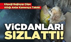 Vicdanları Sızlattı!