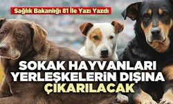 Sokak Hayvanları Yerleşkelerin Dışına Çıkarılacak