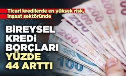 Bireysel kredi borçları yüzde 44 arttı