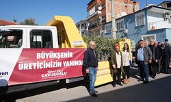 Denizli Büyükşehir’den zeytin fidanı seferberliği