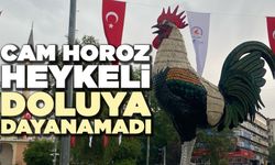 Cam Horoz Heykeli Doluya Dayanamadı
