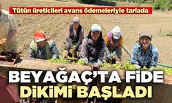 Beyağaç’ta fide dikimi başladı