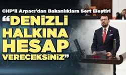 CHP’li Arpacı'dan Bakanlıklara Sert Eleştiri