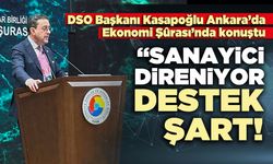 DSO Başkanı Kasapoğlu: “Sanayici direniyor, destek şart!”