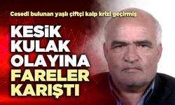 Kesik kulak olayına fareler karıştı