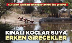 Kınalı koçlar suya erken girecekler