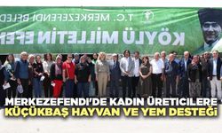 Merkezefendi'de Kadın Üreticilere Küçükbaş Hayvan Ve Yem Desteği