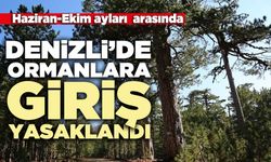 Denizli’de Haziran-Ekim ayları arasında ormanlara giriş yasaklandı