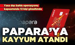 Papara’ya kayyum atandı