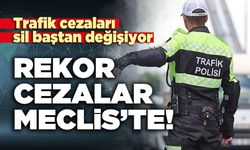 Rekor cezalar Meclis’te!