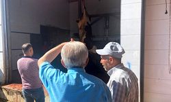 Kurban kesecek elemanlar sertifika aldı