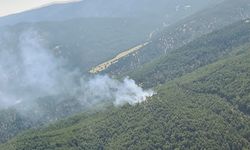 Çivril’deki orman yangınında 2 hektar alan zarar gördü