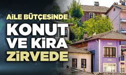 Aile bütçesinde konut ve kira zirvede