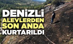 Denizli'de Orman Ekipleri Zamanında Müdahale Etti
