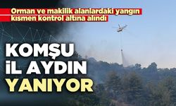 Komşu il Aydın yanıyor