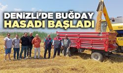 Denizli'de buğday hasadı başladı