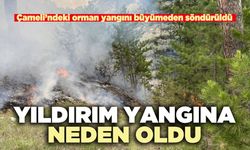 Yıldırım yangına neden oldu