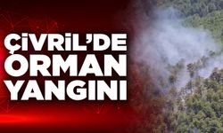 Çivril'de Orman Yangınına Hızlı Müdahale