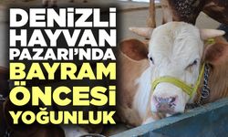 Denizli Hayvan Pazarı’nda Bayram Öncesi Yoğunluk