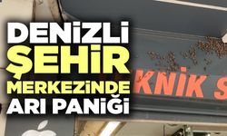 Denizli Şehir Merkezinde Arı Paniği