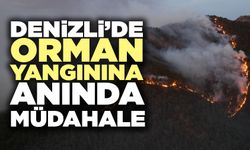 Denizli’de Orman Yangınına Anında Müdahale