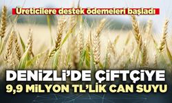 Denizli’de çiftçiye 9,9 milyon TL’lik can suyu