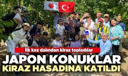 Japon konuklar kiraz hasadına katıldı