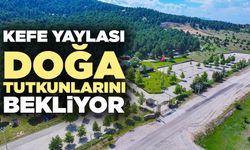 Kefe Yaylası Doğa Tutkunlarını Bekliyor