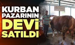Denizli'de Kurban Pazarının Devi Satıldı