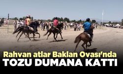 Rahvan atlar Baklan Ovası'nda tozu dumana kattı