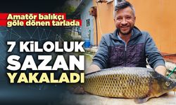 Amatör balıkçı göle dönen Tarlada 7 kiloluk sazan yakaladı